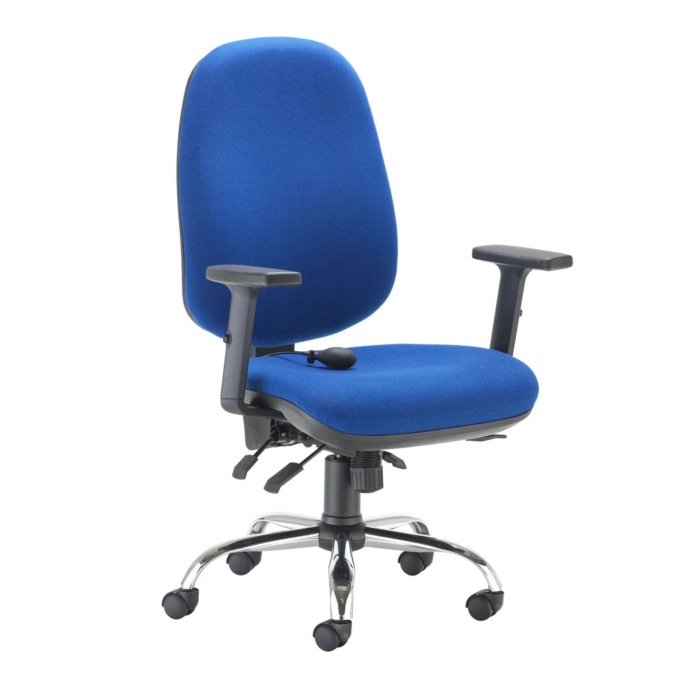 Polsloe Ergonomic Office Chair