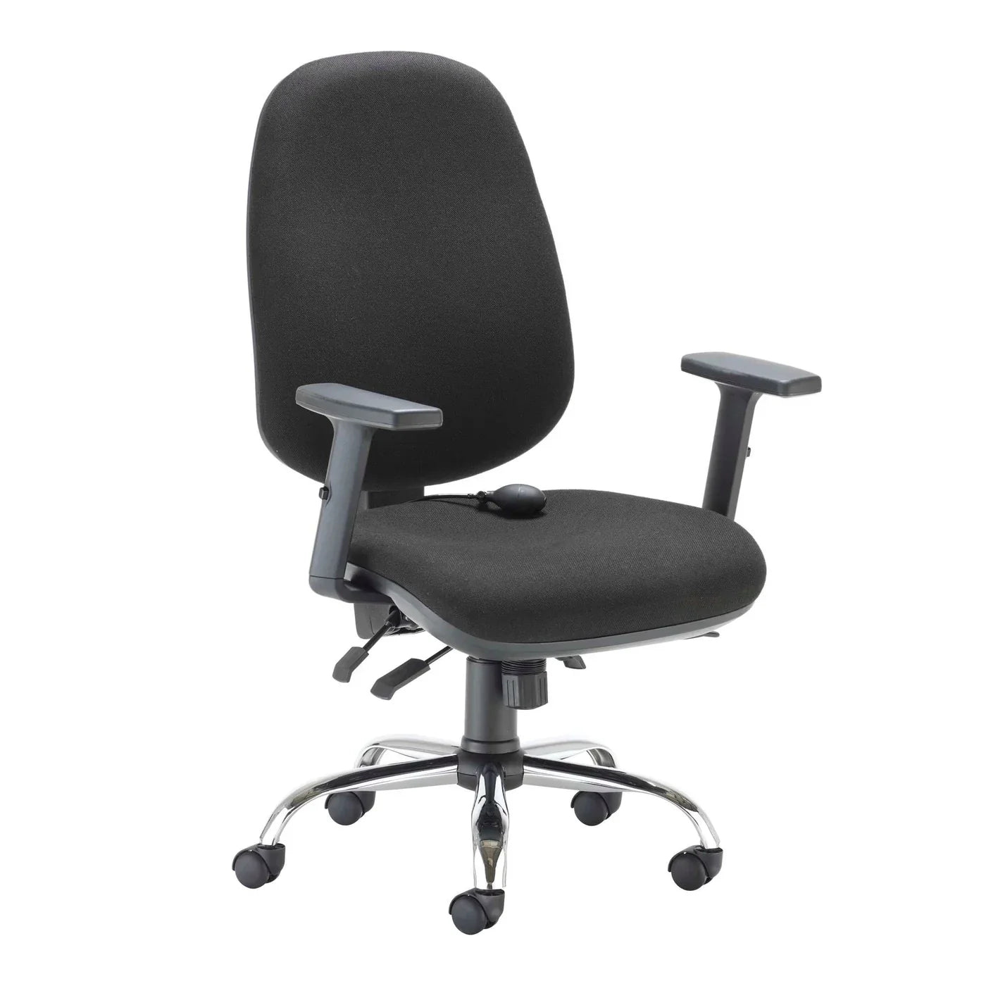 Polsloe Ergonomic Office Chair